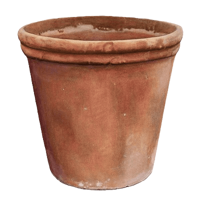 Coco Pot