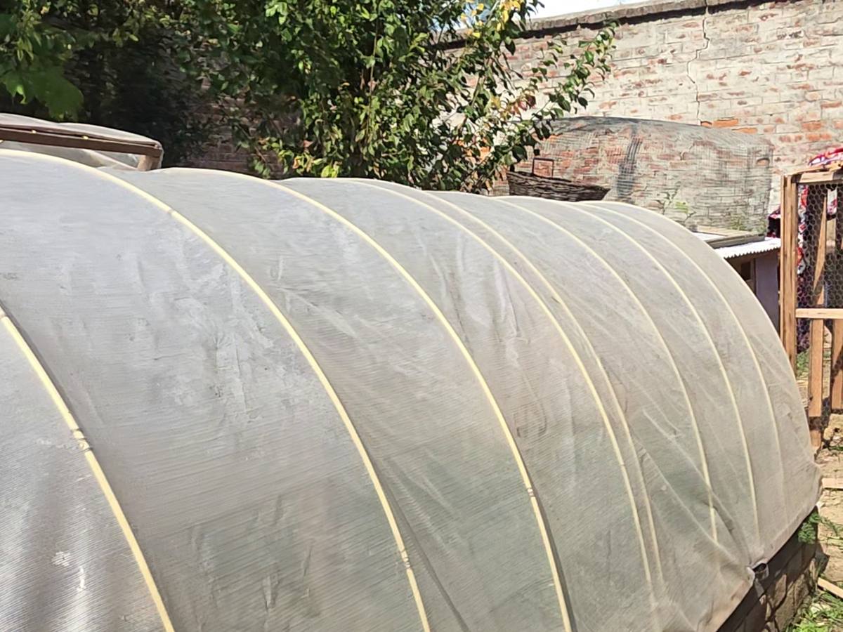 Close view along the tunnel: evenly spaced white FRP hoops under clear polyfilm