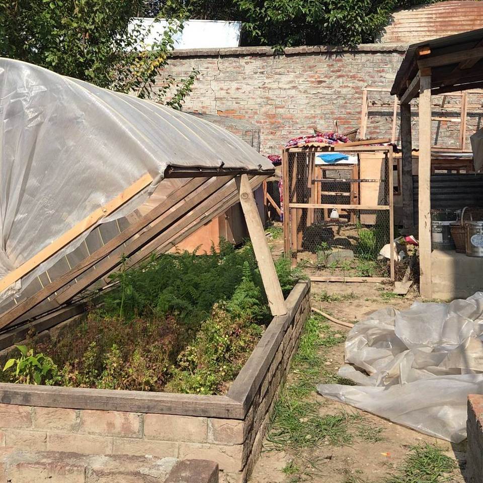 The tunnel cover propped open with a timber over a raised bed of green winter vegetables
