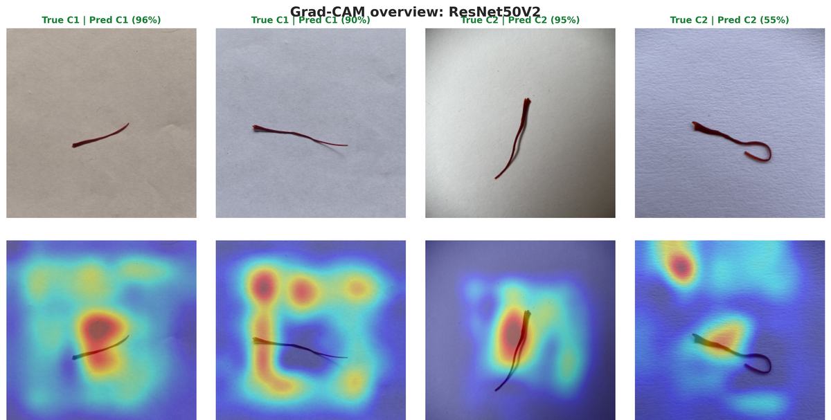 Four test photos of saffron threads, each above its heatmap; on the pure samples the heat spreads across the paper background